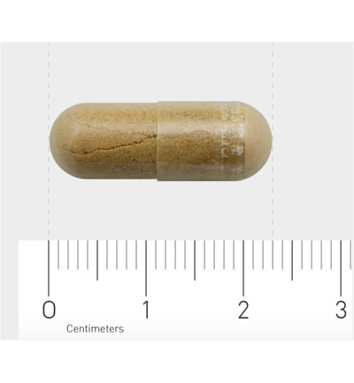 AOV 1018 Stressnorm (60 vega capsules) - image 3