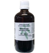 Natura Sanat Marrubium vulg herb / malrove tinctuur (100 ml)
