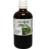 Natura Sanat Quercus robur / eikenbast tinctuur bio (100 ml)