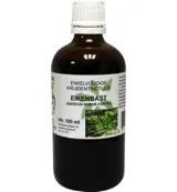 Natura Sanat Quercus robur / eikenbast tinctuur bio (100 ml)