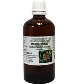 Natura Sanat Ruscus aculeatus radix / muisdoorn tinctuur (100 ml)