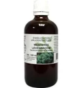 Natura Sanat Thuja occidentalis / levensboom tinctuur (100 ml)