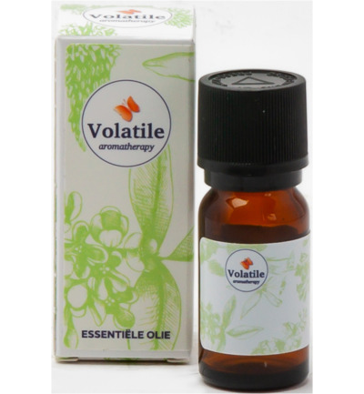 Volatile Lavendel Spijk Bio (5 ml)