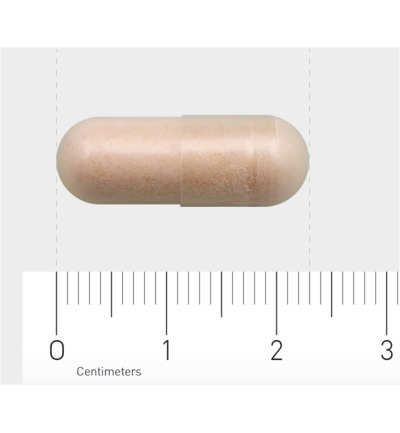 Aov 1204 Pre- En Probiotica (30 vega capsules) - image 4