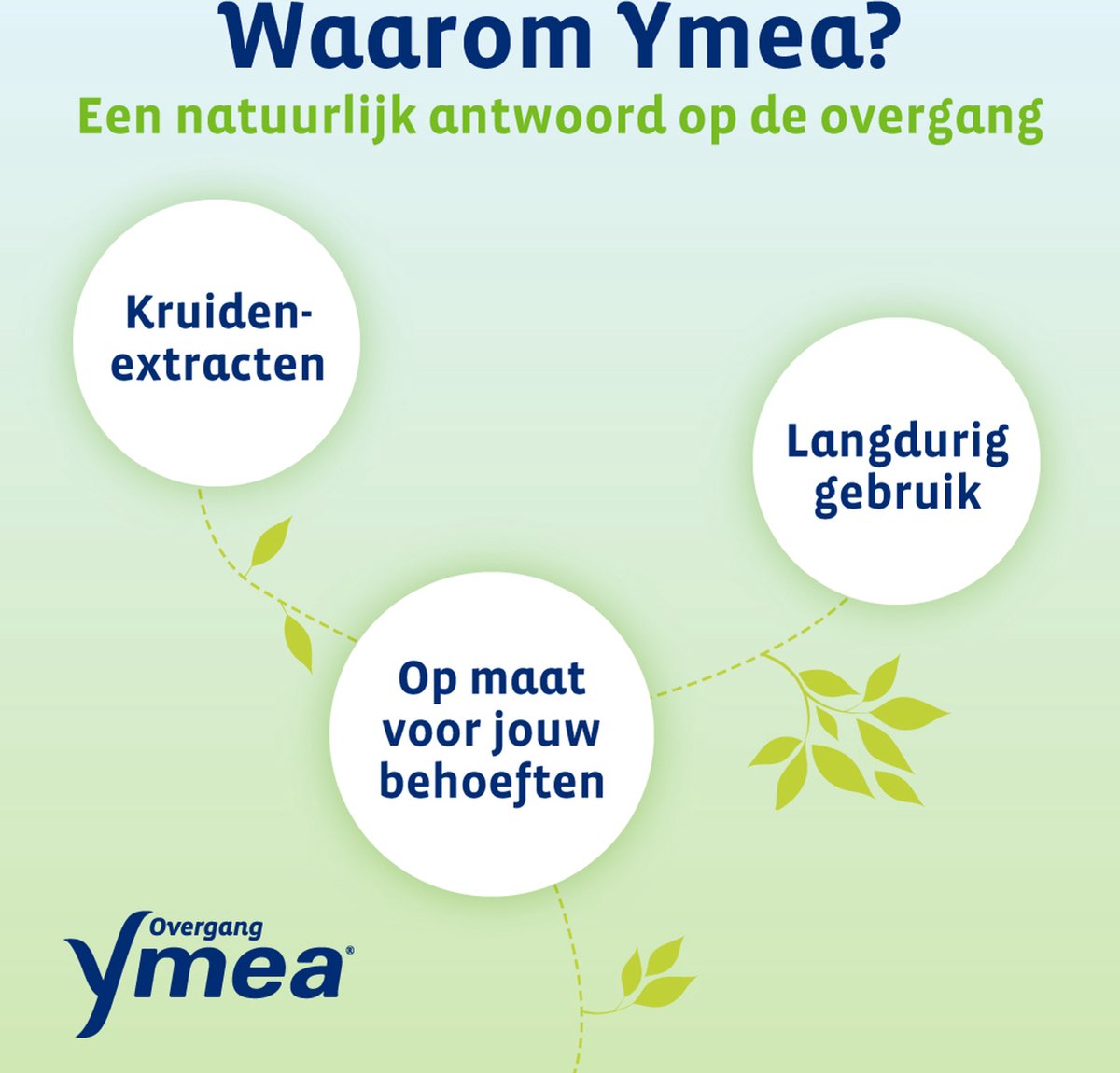 Ymea Overgang Silhouet (128 capsules) - image 3