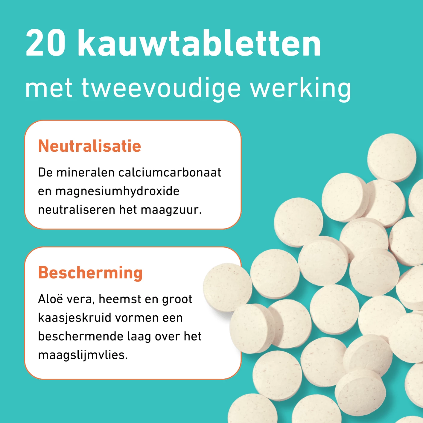 Purasana Pura-Acid Pro (20 kauwtabletten) - image 2