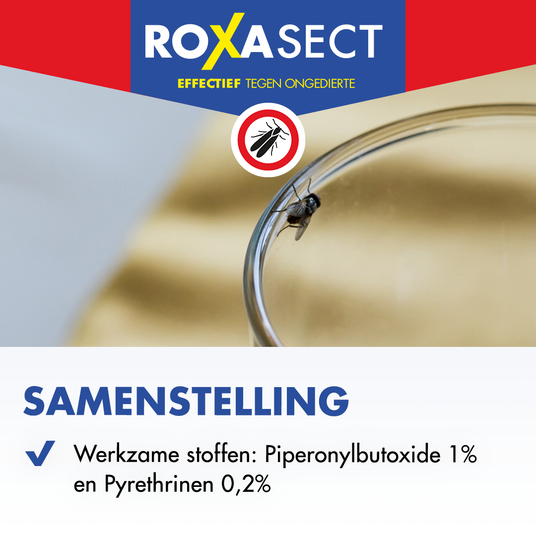 Roxasect Spuitbus vliegende insecten (400 ml) - image 4