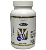 Vital Cell Life Vitamine C multi element gebufferd (100 vega capsules)