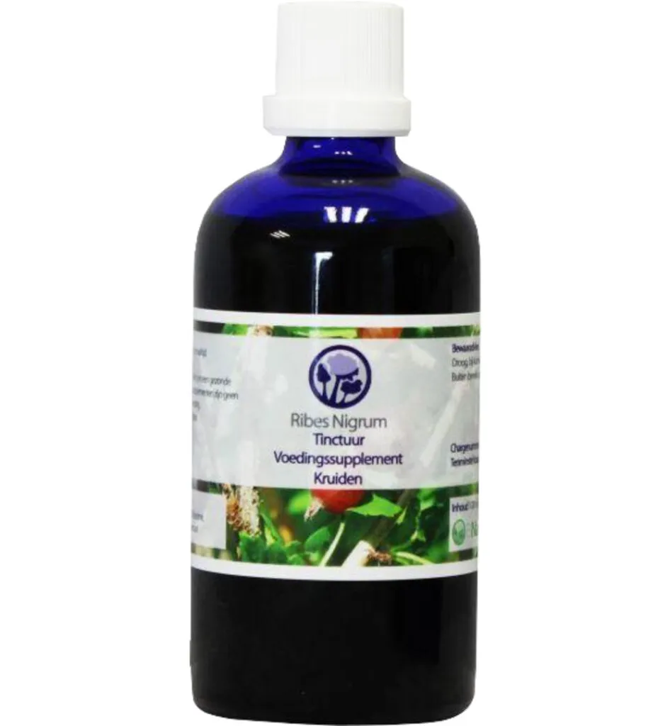 B Nagel Ribes nigummiesm tinctuur (100 ml)