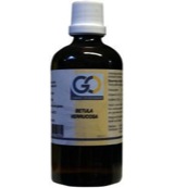 Go Betula verrucosa bio (100 ml)