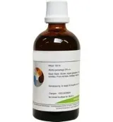 Balance Pharma HGP031 Gemmoplex ooglymf (100 ml)