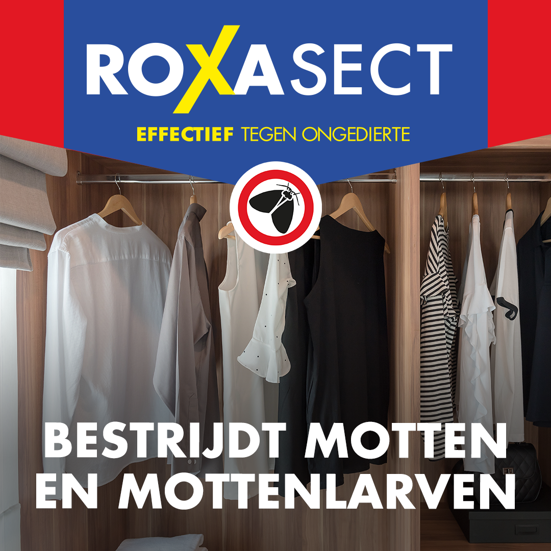 Roxasect Mottenpapier (2 stuks)