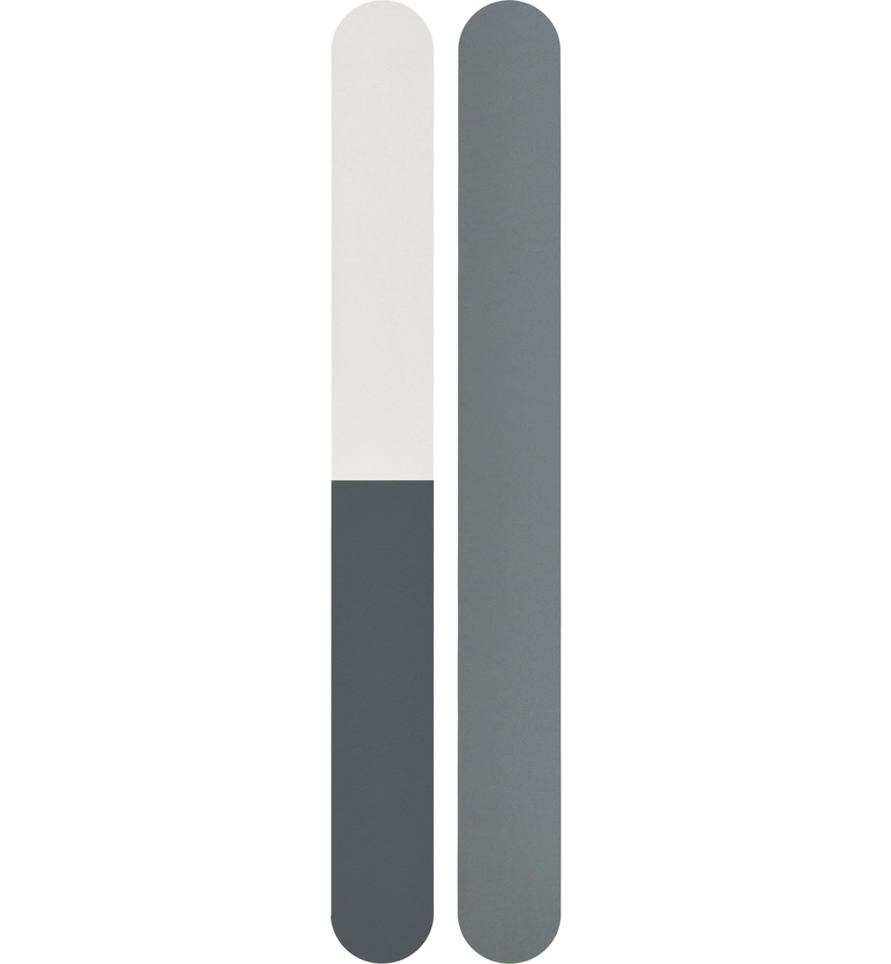2b Quick shine file (1 stuk)