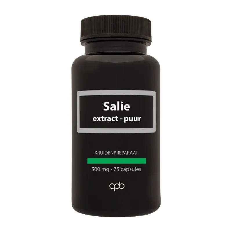 Apb Holland Salie Extract Puur 500mg (75 capsules)