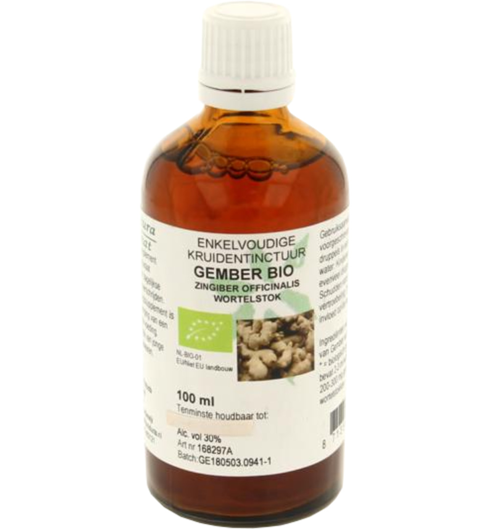 Natura Sanat Zingiber officinalis rhiz/gember tinctuur bio (100 ml)